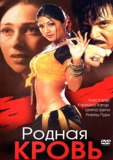 Родная кровь / Rishtey (2002) фильм скачать через торрет бесплатно в хорошем качестве