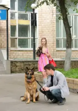 Лорд. Пёс-полицейский (2012) скачать торрент бесплатно Лорд. Пёс-полицейский (2012) сериал скачать торрент бесплатно