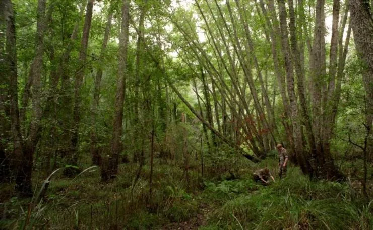 Истребители (2014) скачать торрент бесплатно Истребители (2014) фильм скачать торрент бесплатно