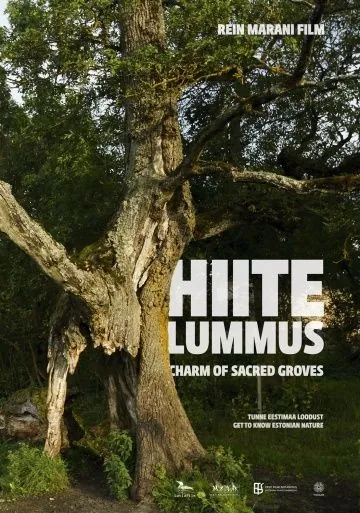 Тайная роща / Hiite lummus (2013) фильм скачать через торрет бесплатно в хорошем качестве