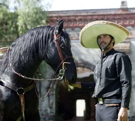 Огонь в крови (2008) в хорошем качестве скачать торрент файл Огонь в крови (2008) сериал в хорошем качестве скачать торрент файл