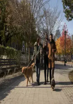 Современная любовь (2019) 1-2 сезон 1-6,7,8 серия скачать торрент бесплатно Современная любовь (2019) сериал 1-6,7,8 серию 1-2 сезона скачать торрент бесплатно