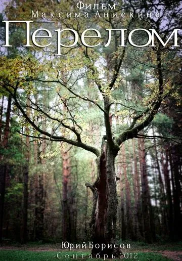 Перелом (2012) фильм скачать через торрет бесплатно в хорошем качестве