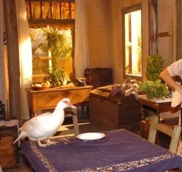 Голос сердца (2005) 1 сезон 1-148,149,150 серия в хорошем качестве скачать торрент файл Голос сердца (2005) сериал 1-148,149,150 серию 1 сезона в хорошем качестве скачать торрент файл