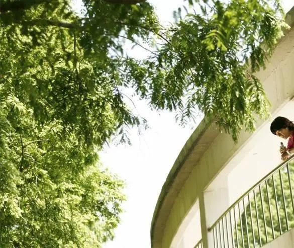 Он встретил любовь (2008) скачать торрент файл Он встретил любовь (2008) фильм скачать торрент файл