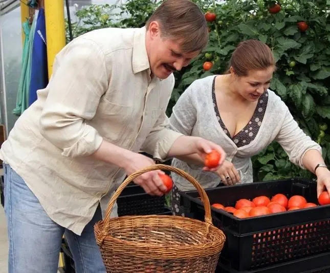 Варенька. Продолжение (2009) скачать торрент файл Варенька. Продолжение (2009) сериал скачать торрент файл