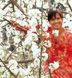 Анатомия любви (2002) скачать торрент бесплатно Анатомия любви (2002) фильм скачать торрент бесплатно