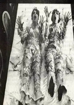 Маргаритки (1966) скачать торрент бесплатно Маргаритки (1966) фильм скачать торрент бесплатно