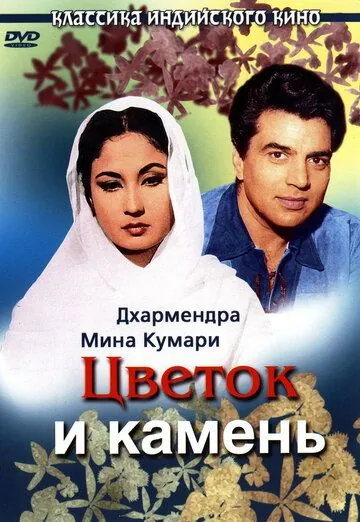 Цветок и камень / Phool Aur Patthar (1966) фильм скачать через торрет бесплатно в хорошем качестве