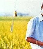 Все о Лили Чоу-Чоу (2001) скачать торрент файл Все о Лили Чоу-Чоу (2001) фильм скачать торрент файл