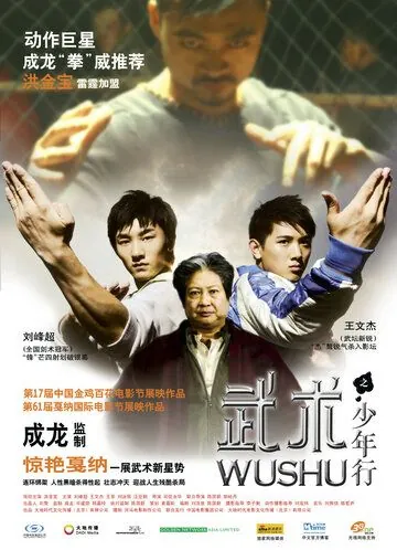 Ушу / Wushu (2008) фильм скачать через торрет бесплатно в хорошем качестве