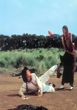 Немного кунг-фу (1978) скачать торрент бесплатно Немного кунг-фу (1978) фильм скачать торрент бесплатно