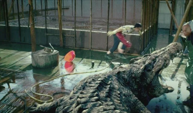 Крокодил на миллион долларов (2012) скачать торрент бесплатно Крокодил на миллион долларов (2012) фильм скачать торрент бесплатно