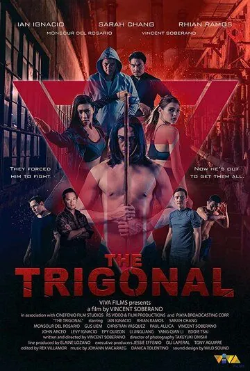Тригонал: Борьба за справедливость / The Trigonal: Fight for Justice (2018) фильм скачать через торрет бесплатно в хорошем качестве