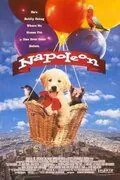 Наполеон / Napoleon (1995) фильм скачать через торрет бесплатно в хорошем качестве