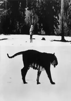 По следу властелина (1979) скачать торрент бесплатно По следу властелина (1979) фильм скачать торрент бесплатно