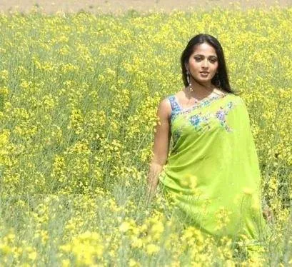 Дон №1 (2007) скачать торрент файл Дон №1 (2007) фильм скачать торрент файл