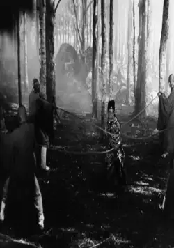 Касание Дзен (1971) скачать торрент бесплатно Касание Дзен (1971) фильм скачать торрент бесплатно