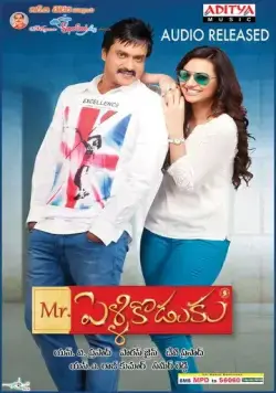 Мистер Жених / Mr. Pellikodukku (2013) фильм скачать через торрет бесплатно в хорошем качестве