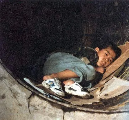 Крокодил (1996) в хорошем качестве скачать торрент файл Крокодил (1996) фильм в хорошем качестве скачать торрент файл