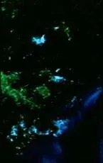 Кулак возмездия (1973) скачать торрент файл Кулак возмездия (1973) фильм скачать торрент файл