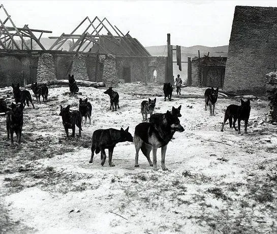 Маркета Лазарова (1966) в хорошем качестве скачать торрент файл Маркета Лазарова (1966) фильм в хорошем качестве скачать торрент файл