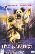 Пес – каратист / The Karate Dog (2005) фильм скачать через торрет бесплатно в хорошем качестве