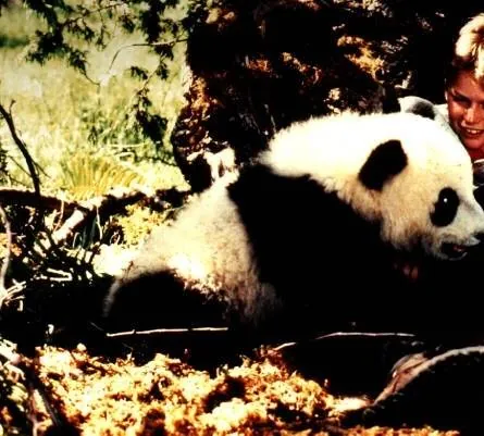 Удивительное приключение панды (1995) скачать торрент бесплатно Удивительное приключение панды (1995) фильм скачать торрент бесплатно