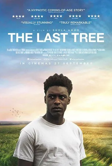 Последнее дерево / The Last Tree (2019) фильм скачать через торрет бесплатно в хорошем качестве