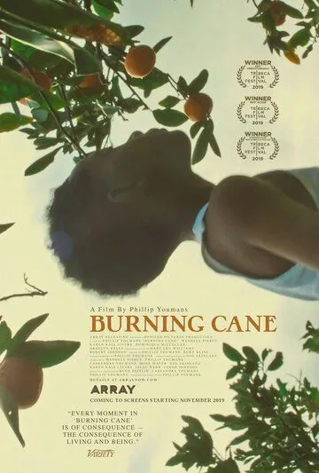 Горящий тростник / Burning Cane (2019) фильм скачать через торрет бесплатно в хорошем качестве