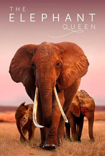 Королева слонов / The Elephant Queen (2019) фильм скачать через торрет бесплатно в хорошем качестве