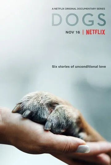 Собаки / Dogs (2018) cериал скачать через торрет бесплатно в хорошем качестве
