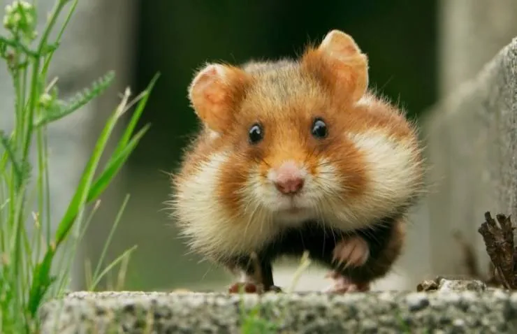 Семь миров, одна планета (2019) 1 сезон 1-5,6,7 серия в хорошем качестве скачать торрент файл Семь миров, одна планета (2019) сериал 1-5,6,7 серию 1 сезона в хорошем качестве скачать торрент файл