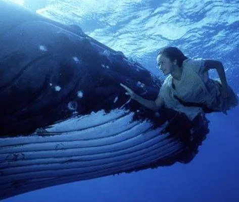 Девочка из океана (1994) 1-4 сезон 1-24,25,26 серия скачать торрент бесплатно Девочка из океана (1994) сериал 1-24,25,26 серию 1-4 сезона скачать торрент бесплатно