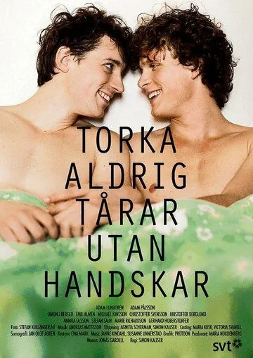 Никогда не вытирайте слезы без перчаток / Torka aldrig tårar utan handskar (2012) cериал скачать через торрет бесплатно в хорошем качестве