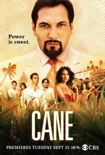 Плантация / Cane (2007) cериал скачать через торрет бесплатно в хорошем качестве