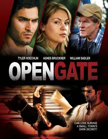 Открытые ворота / Open Gate (2011) фильм скачать через торрет бесплатно в хорошем качестве
