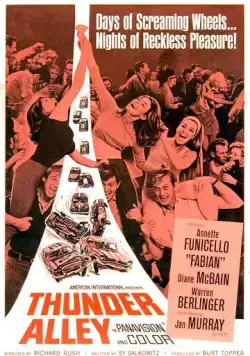 Грозовая аллея / Thunder Alley (1967) фильм скачать через торрет бесплатно в хорошем качестве