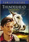 Грозовая туча – сын Флики / Thunderhead - Son of Flicka (1945) фильм скачать через торрет бесплатно в хорошем качестве