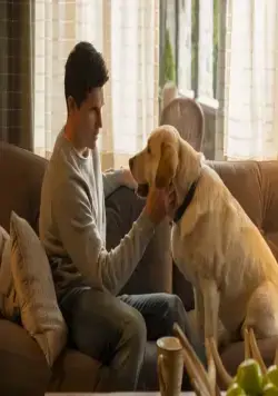 Загрузка (2020) 1-4 сезон 1-1,2,3,4 серия скачать торрент бесплатно Загрузка (2020) сериал 1-1,2,3,4 серию 1-4 сезона скачать торрент бесплатно