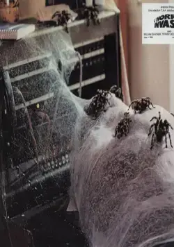 Царство пауков (1977) скачать торрент файл Царство пауков (1977) фильм скачать торрент файл