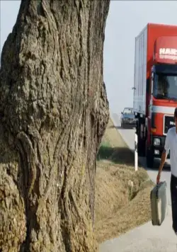 Новая волна (1990) скачать торрент бесплатно Новая волна (1990) фильм скачать торрент бесплатно