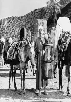 Али Баба и 40 разбойников (1954) в хорошем качестве скачать торрент файл Али Баба и 40 разбойников (1954) фильм в хорошем качестве скачать торрент файл