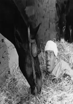 Али Баба и 40 разбойников (1954) скачать торрент файл Али Баба и 40 разбойников (1954) фильм скачать торрент файл