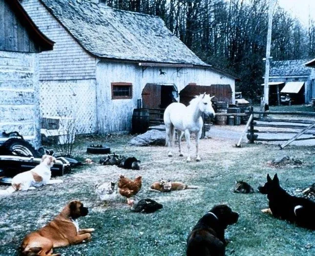 Нико-единорог (1998) скачать торрент файл Нико-единорог (1998) фильм скачать торрент файл