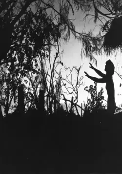 Ведьмы (1922) скачать торрент файл Ведьмы (1922) фильм скачать торрент файл