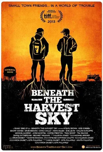Под урожайным небом / Beneath the Harvest Sky (2013) фильм скачать через торрет бесплатно в хорошем качестве