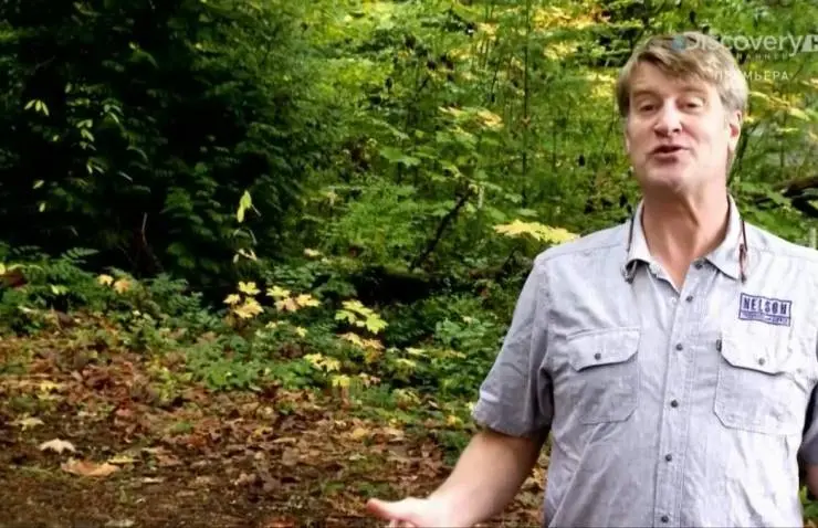 Дома на деревьях (2013) 1-5 сезон 1-7,8,9 серия в хорошем качестве скачать торрент файл Дома на деревьях (2013) сериал 1-7,8,9 серию 1-5 сезона в хорошем качестве скачать торрент файл