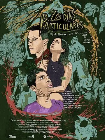 Los días particulares (2019) фильм скачать через торрет бесплатно в хорошем качестве