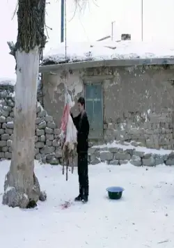 Уроки гармонии (2013) скачать торрент бесплатно Уроки гармонии (2013) фильм скачать торрент бесплатно